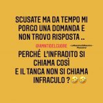 FB_IMG_1630918313741.jpg