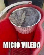 FB_IMG_1630908219075.jpg
