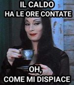 FB_IMG_1630565086701.jpg