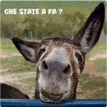 FB_IMG_1631019188269.jpg