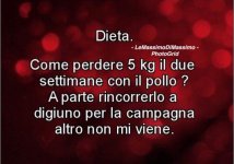 FB_IMG_1631109711268.jpg