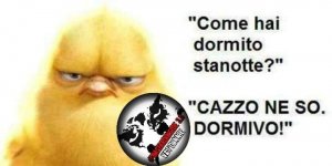 FB_IMG_1631090830920.jpg