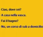 FB_IMG_1631090816277.jpg