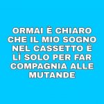 FB_IMG_1631081559945.jpg
