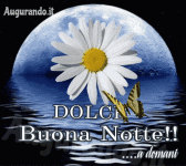 75283a22b54b083c893ac237edca2312.gif