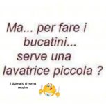FB_IMG_1631186846587.jpg