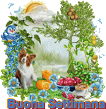 buona_settimana_1.gif