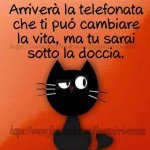 FB_IMG_1631550183536.jpg