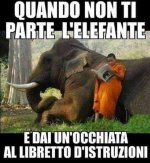 FB_IMG_1631533494726.jpg