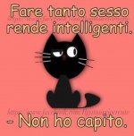 FB_IMG_1631533309519.jpg