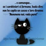 FB_IMG_1630231561916.jpg