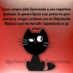 FB_IMG_1625470558689.jpg