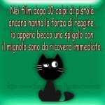 FB_IMG_1631706164670.jpg