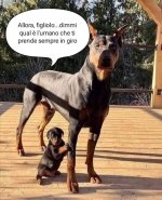 FB_IMG_1631706020758.jpg