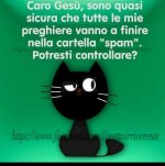 FB_IMG_1631794839345.jpg