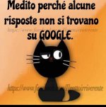FB_IMG_1631794464193.jpg