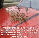 FB_IMG_1631794406369.jpg