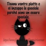 FB_IMG_1631775993693.jpg