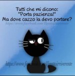 FB_IMG_1631775951751.jpg