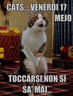 gatto-venerdi-17.jpg