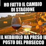 FB_IMG_1631890267834.jpg