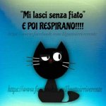 FB_IMG_1631880960415.jpg