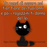 FB_IMG_1631876023177.jpg
