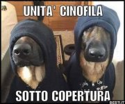 FB_IMG_1631875988921.jpg
