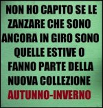 FB_IMG_1631860358315.jpg