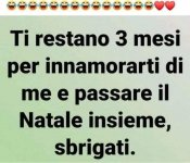 FB_IMG_1631613205819.jpg