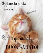be416ea122ddc0d7f9ef34c792609a7d.jpg