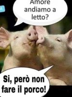 FB_IMG_1632040480864.jpg