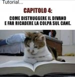 FB_IMG_1631978299153.jpg