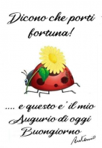 1632125948331.png