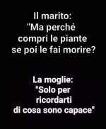 FB_IMG_1631601254226.jpg