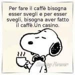 FB_IMG_1632239638757.jpg