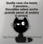 FB_IMG_1632239622498.jpg