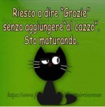 FB_IMG_1632233832187.jpg