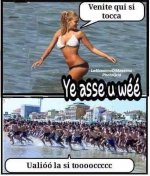 FB_IMG_1632233427915.jpg