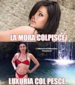FB_IMG_1632223616965.jpg