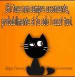 FB_IMG_1632223550652.jpg