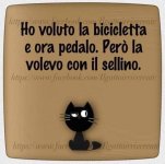 FB_IMG_1632206168488.jpg