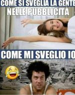 FB_IMG_1632206092048.jpg