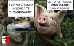 FB_IMG_1632310737357.jpg