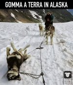 FB_IMG_1632310241251.jpg