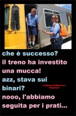 FB_IMG_1632205884699.jpg