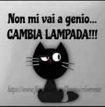 FB_IMG_1631950545891.jpg