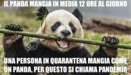 FB_IMG_1631289650757.jpg