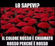 FB_IMG_1630652468545.jpg