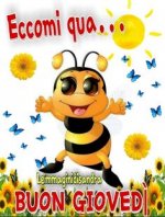 06ed0e8a0ad1985d72793b9417da690a.jpg